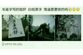 宜阳如何避免债务纠纷？专业追讨公司教您应对之策